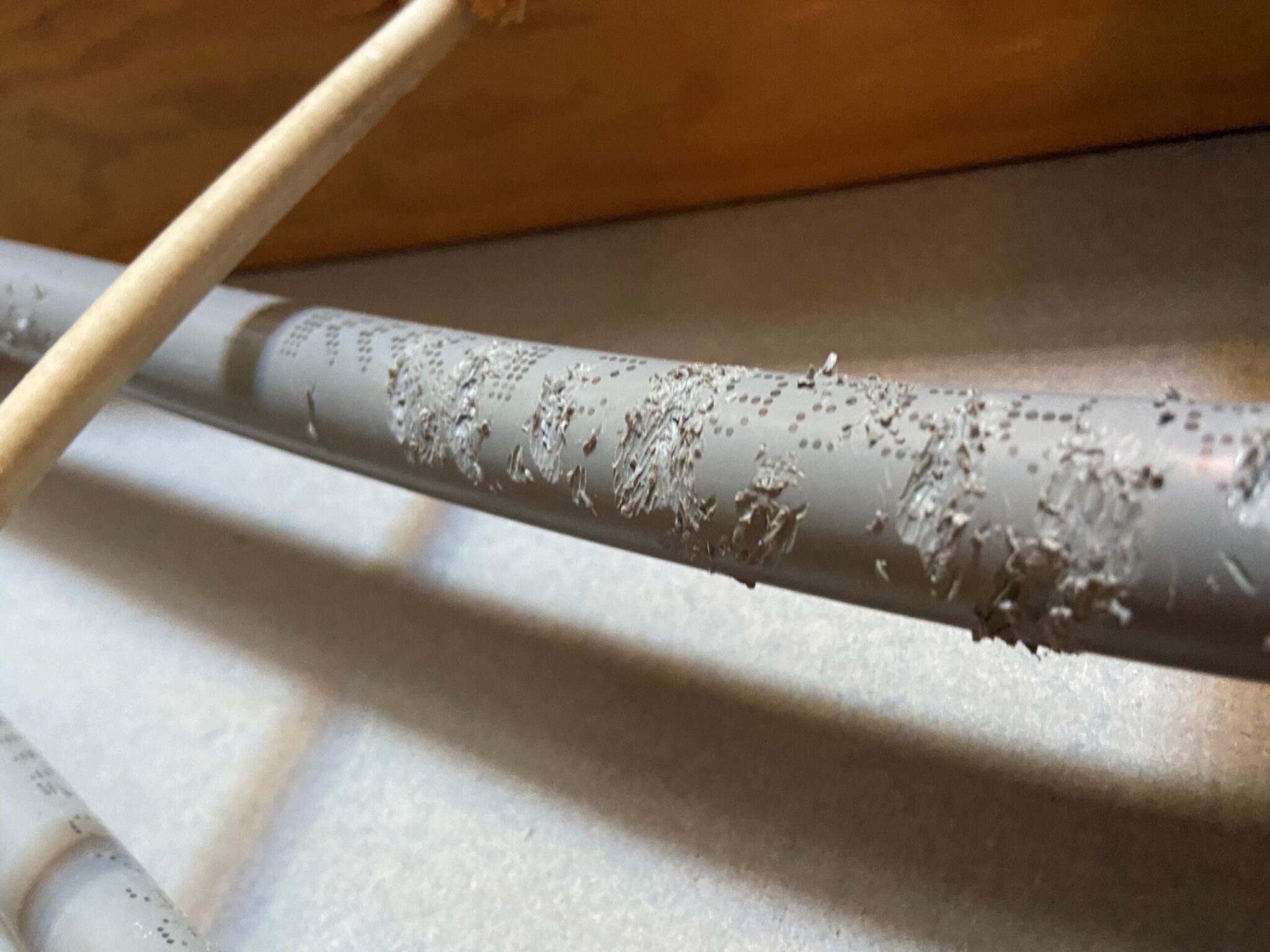 How to Prevent Rodents From Damaging Your Plumbing 4 Generation Plumbing